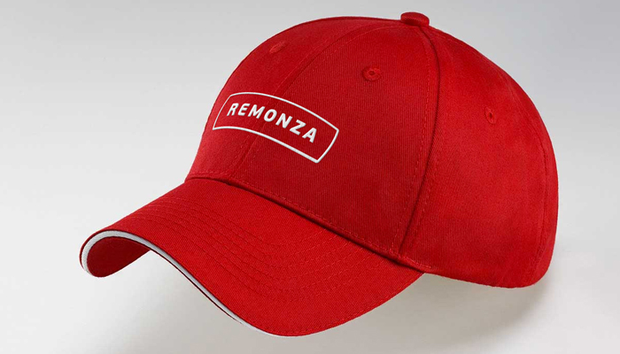 Логотип Remonza